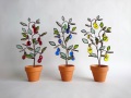 Berry pot