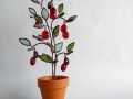 Berry pot：Red